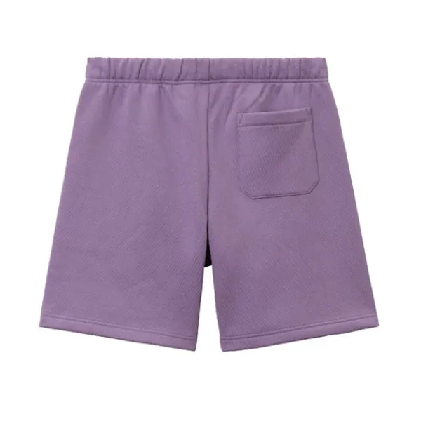 Shorts | Carhartt WIP Chase Sweat Short Violanda Purple